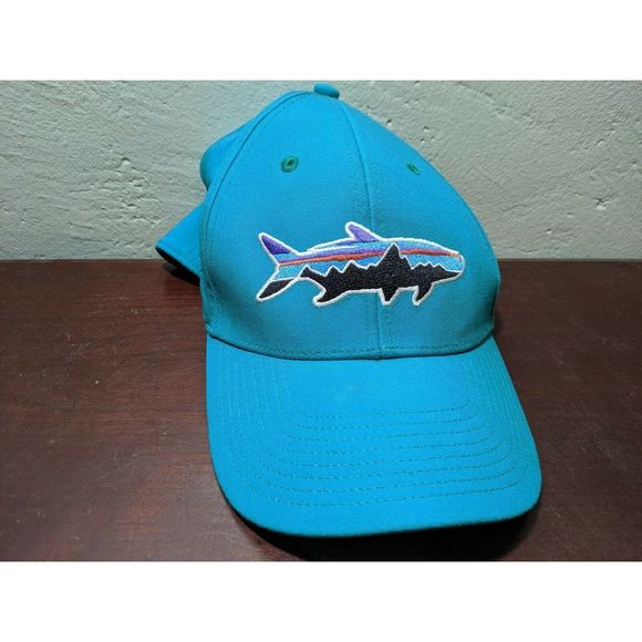 Patagonia Other - Patagonia Fitz Roy Tarpon Flexfit Hat Small Teal